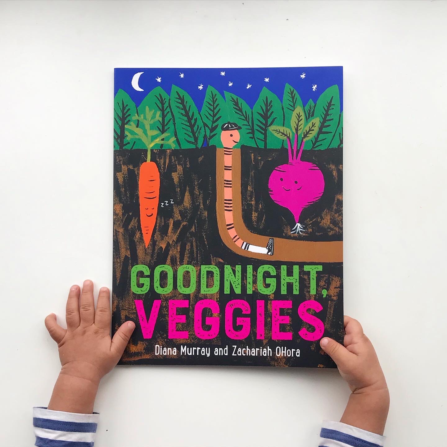 Book review: Goodnight Veggies by Diana Murray and illustrated by